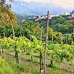 Charming With Air Conditioning In - 35 Sqm Gragnano