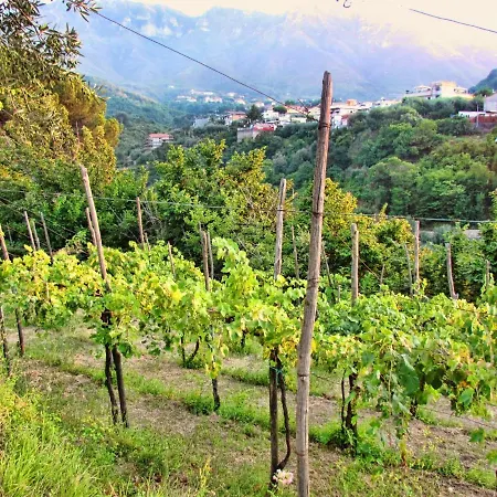 Charming With Air Conditioning In - 35 Sqm Gragnano