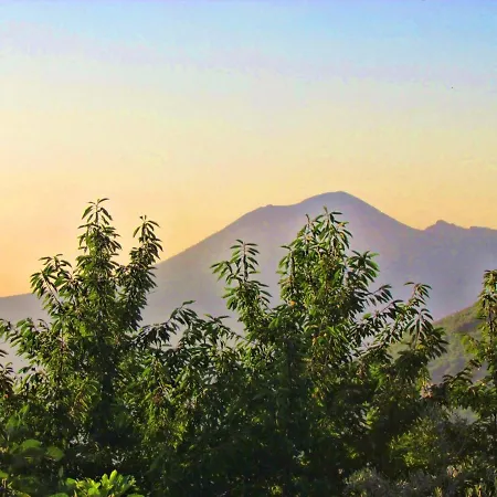 Charming With Air Conditioning In - 35 Sqm *