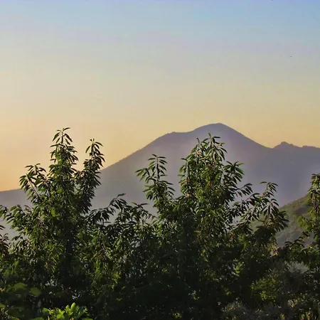 Charming With Air Conditioning In - 35 Sqm Gragnano