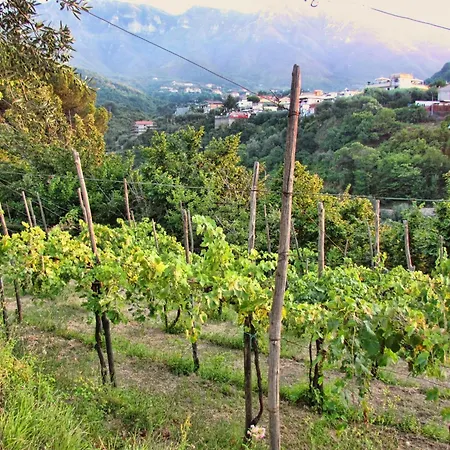 Charming With Air Conditioning In - 35 Sqm Apartament Gragnano