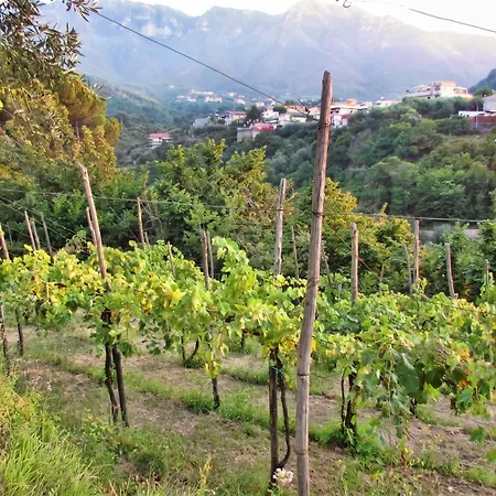 Charming With Air Conditioning In - 35 Sqm *